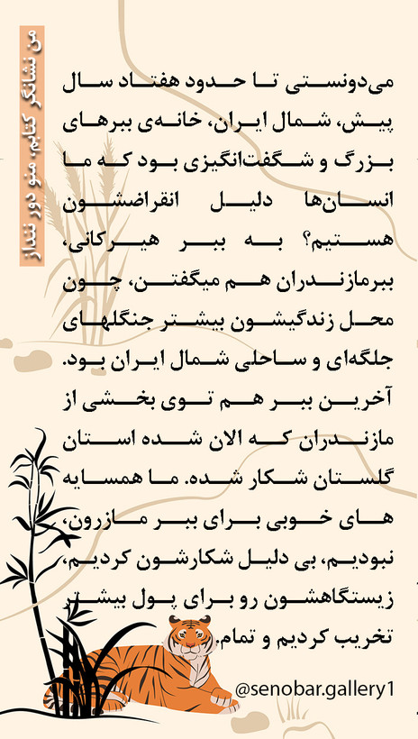 شومیز لینن نچرال از کالکشن ببر هیرکانی صنوبر