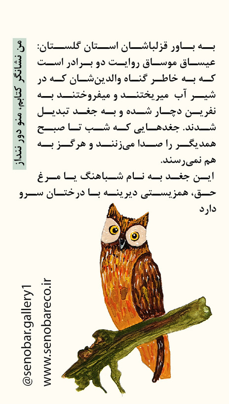 تی شرت نخ پنبه یونیسکس طرح جغد تک از کالکشن سرو زربین