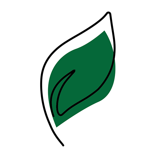 پیشنهادهای شگفت‌انگیز